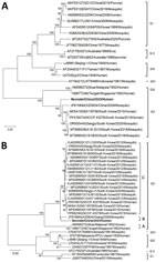 Phylogenetic trees of Japanese encephalitis virus (JEV) genes recovered from a human case in China, 2025. A) Phylogenetic tree built on the basis of the nucleotide sequences of the open reading frame of JEV. B) Phylogenetic tree built on the basis of the nucleotide sequences of the envelope gene of JEV. We constructed the phylogenetic trees by using the neighbor-joining method in MEGA 12.0 software (https://www.megasoftware.net). Neonate sequence from this study is in boldface. Branch numbers indicate percent bootstrap support values. Scale bars indicate nucleotide substitutions per site.