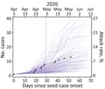 Projected outbreak trajectories from a study of characteristics and superspreading potential of Andes virus person-to-person transmission. Graph shows 1,000 branching process simulations within 10 weeks after symptom onset of the seed case (April 3, 2026), using a plausible range of the initial reproduction number (0.4–2.5) of the MV Hondius cruise ship cluster and pooled dispersion parameter (k) estimates from historical data. Symptom onset dates for secondary cases were randomly sampled from the pooled serial interval distribution. Black triangles indicate the cumulative number of cases observed in the cruise ship outbreak as of May 27, 2026. The blue dashed vertical line marks the initial World Health Organization notification date of the outbreak (May 2, 2026), after which effective control measures were assumed to have been implemented (i.e., the reproduction number was assumed to decrease). The right y-axis shows the corresponding attack rate based on a ship population of 147.