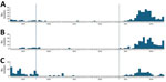 Isolates of M1 lineages by month in study of post–COVID-19 expansion of Streptococcus pyogenes lineages causing toxic shock syndrome, Japan, 2023–2024. y-axis indicates the number of calculated 100% isolates of each lineage: A) M1UK; B) M113SNPs; C) M1global. Vertical lines separate pre–COVID-19, COVID-19, and post–COVID-19 periods. 
