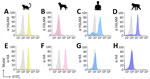 Expression of SLAM in Vero cells in study of natural occurrence of primate SLAM-adapted canine distemper virus, Brazil, 2018. We assessed the expression of marmoset, canine, human, and macaque SLAM in Vero cell lines used for cell–cell fusion assays by using flow cytometry. A–D) Vero cells were untransfected (gray histogram) or transfected (colored histogram) with SLAM constructs derived from marmoset (A), canine (B), human (C), and macaque (D) cells. Cells were stained with human SLAM antibody (α hSLAM, clone IPO-3; ViroGen Corporation, https://www.virogen.com). E–H) Vero cells were untransfected or transfected with HA-tagged SLAM derived from marmoset (E) and canine (F) cells; canine SLAM was not detected by the human SLAM antibody. Human (G) and macaque (H) SLAM constructs did not contain an HA tag and were used as negative controls. FITC, fluorescein isothiocyanate; HA, hemagglutinin; SLAM, signaling lymphocytic activation molecule.