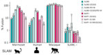 Quantitative analysis of SLAM-dependent cell–cell fusion in study of natural occurrence of primate SLAM-adapted canine distemper virus, Brazil, 2018. We quantified cell–cell fusion mediated by hemagglutinin (HA) proteins derived from virus strains Ac96I and NHP1 by using dual-split reporter protein (DSP) assays, as described previously (4). HA proteins were unchanged or had amino acid substitutions at positions 519 or 530. Fusion protein was derived from the Ac96I virus strain. We used Vero cells expressing canine, marmoset, human, or macaque SLAM, or parental Vero cells lacking exogenous SLAM (SLAM, –) as target cells. For each HA protein, fusion activity with canine SLAM was defined as 100%, and fusion activities for the other SLAM orthologs were expressed relative to this value. Data are shown on a logarithmic scale. Bars represent means +SDs from 3 independent experiments. Open circles are individual data points. SLAM, signaling lymphocytic activation molecule.