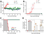 Clinical characterization of pigs experimentally infected in investigation of African swine fever virus in SDPP used as feed ingredient, South Korea, 2026. Nine pigs were divided into 3 groups of 3; 1 group was experimentally inoculated with African swine fever virus DNA–positive SDPP and 1 group was fed commercial CF collected in 2026; the third group was the control. A–C) Rectal temperatures (A), clinical sign scores (B), and survival (C) for all 3 groups. Gray shading in panel C indicates survival for SDPP animals, all of which died. D) Viremia in whole blood samples and virus shedding in oral and rectal samples among the SDPP group; all 3 animals in this group died. Error bars indicate SD. CF, compound feed; SDPP, spray-dried porcine plasma.